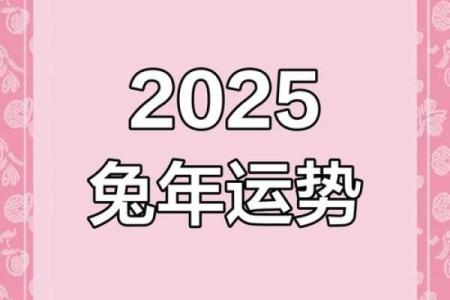 属兔2025年的多大_2025年属兔人年龄揭秘你今年多大
