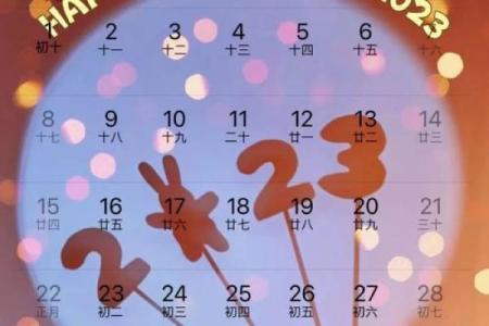 2025年1月30号出生的宝宝属什么