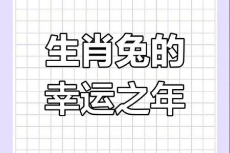 2024属兔人的全年运势如何_2024属兔人的全年运势如何1987