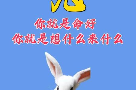 1975年的兔是什么命五行属性 1975年兔子是属什么命