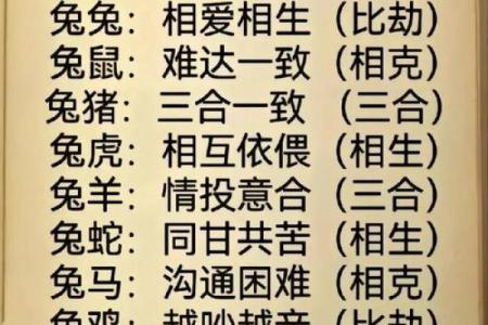 属兔人今天的运气和财运_属兔人今日运势解析财运与运气全揭秘