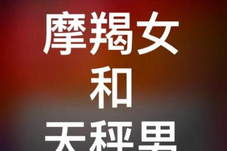 天秤座男和双子座女的匹配度(天秤座男和双子座女的匹配度谁高)