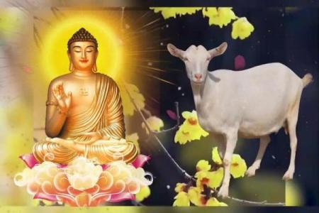 91年属羊人2025年婚姻运势解析爱情与幸福的关键年