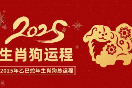 生肖狗2025年运势及运程详解 属相牛2025年运势及运程详解