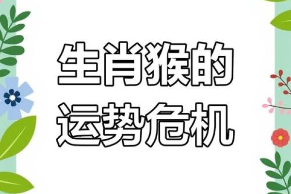 1956年属什么生肖