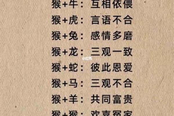 三妻四妾是什么生肖