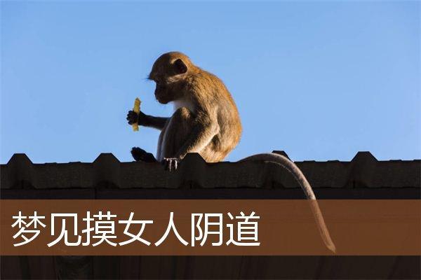 梦到生女儿是什么意思