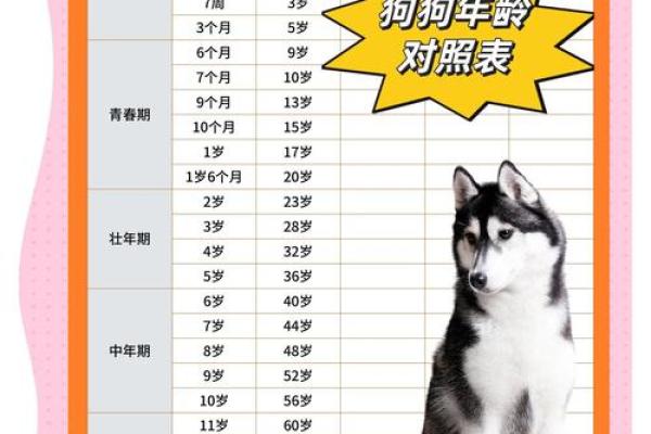 70年属狗的今年多大_70年属狗今年多大2023年属狗人年龄详解