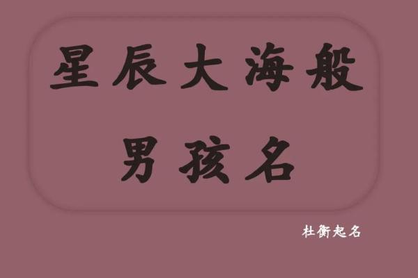 2019年3月25号辛时出生的男孩起名方法姓名