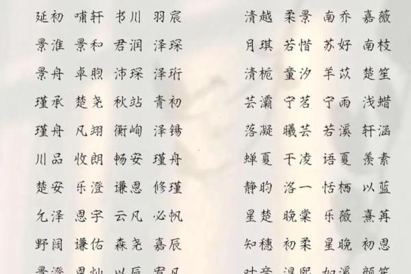 2019年3月29号巳时出生的男孩起名时要注意什么姓名