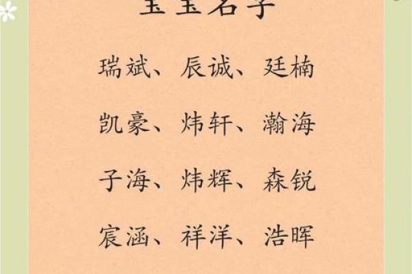 2019年6月24号卯时出生的男孩如何起名姓名