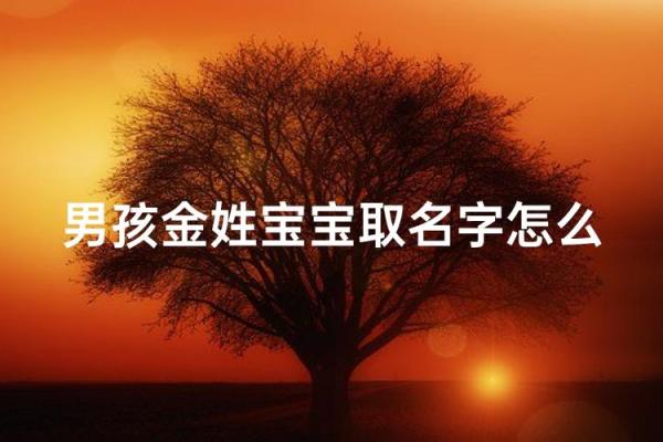 金姓男孩名字大全-金姓男孩起名字大全-金姓名字大全姓名