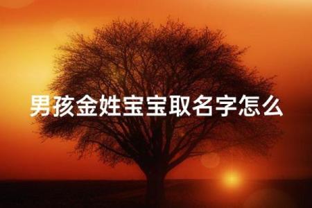 金姓男孩名字大全-金姓男孩起名字大全-金姓名字大全姓名