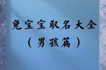 如何给属兔子时出生的男孩取名字姓名
