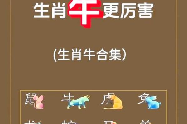 给晚上8点出生的属牛男孩起名用什么字好姓名