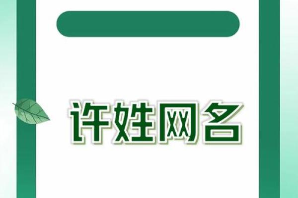 许姓女孩名字大全-许姓女孩起名字大全-许姓名字大全姓名 许姓女孩名字大全-许姓女孩起名字大全-许姓名字大全姓名