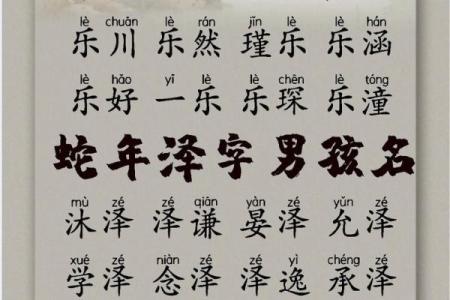 2019年6月23号丑时出生的男孩如何起名姓名