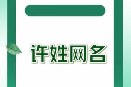 许姓女孩名字大全-许姓女孩起名字大全-许姓名字大全姓名