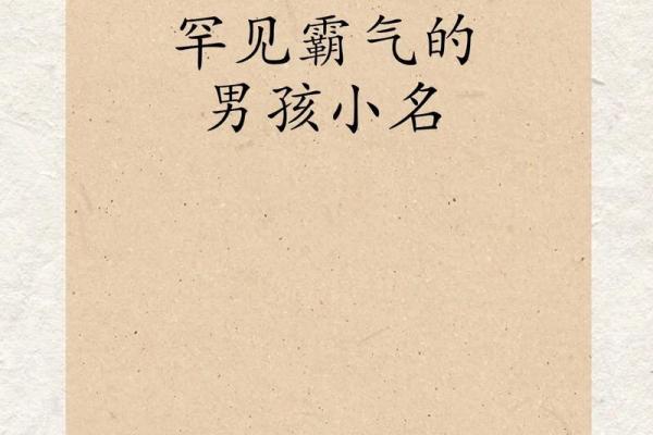 2019年3月22号酉时出生的男孩应该起什么样的名字姓名