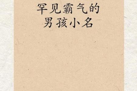 2019年3月22号酉时出生的男孩应该起什么样的名字姓名