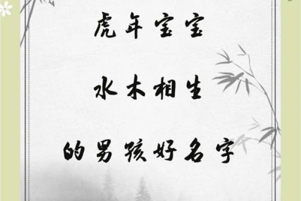 2019年5月15号寅时出生的男孩如何起名姓名